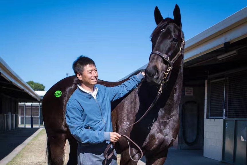 中国投资人张月胜在维多利亚州的自营马场内，凝视、抚摸着一匹黑色马，那是一个大晴天。