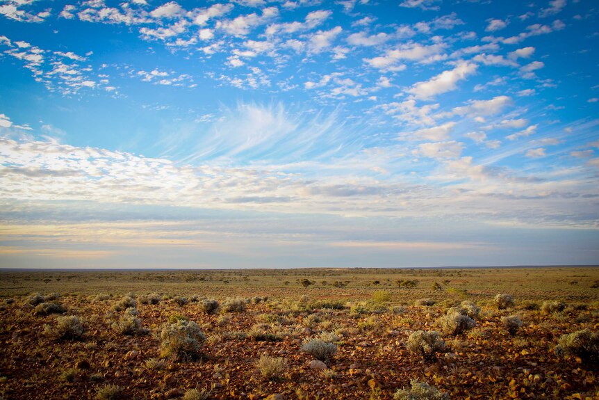 A large expanse of dirt, rocks and shrubs under a blue sky with clouds.