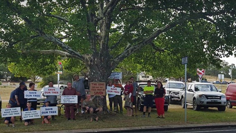 Members of the Ballandean community protest the planned removal of the 100-year-old London planetree