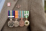War medals on show