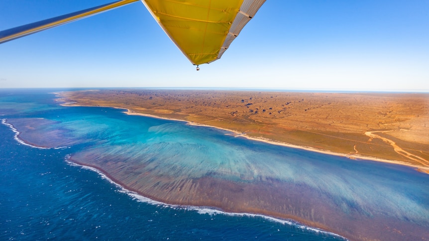 Ningaloo reef from the air.