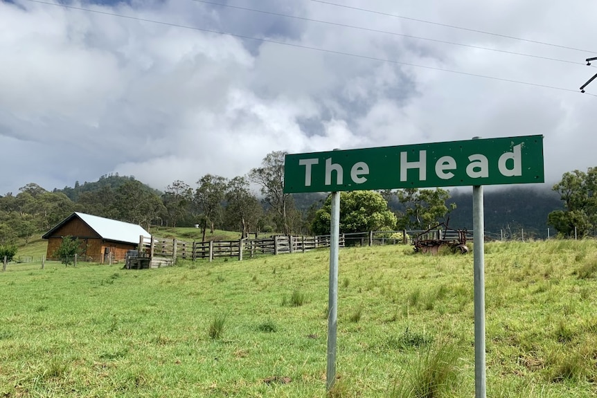 A road sign reads The Head in a paddock.