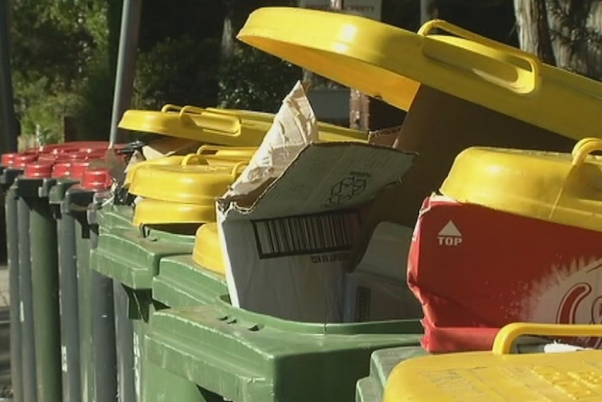 A row of unemptied wheelie bins.