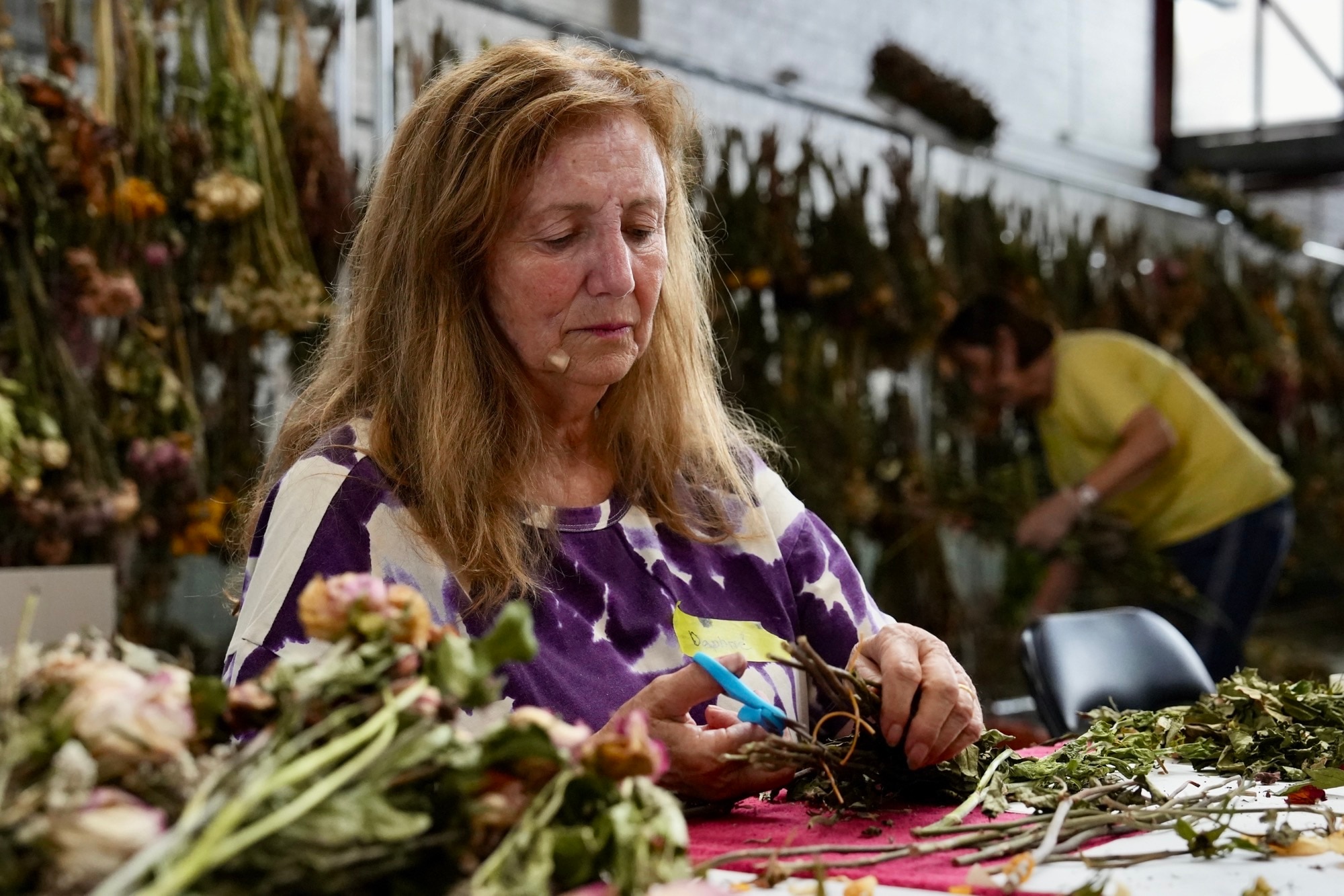 Curadores e voluntários do Museu Judaico de Sydney preservam flores memoriais de Bondi