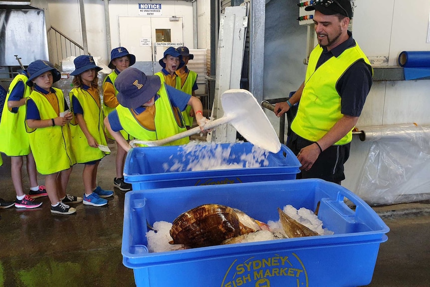 School children learn about the fishing industry as part of a programme that aims to get more Australians eating seafood.