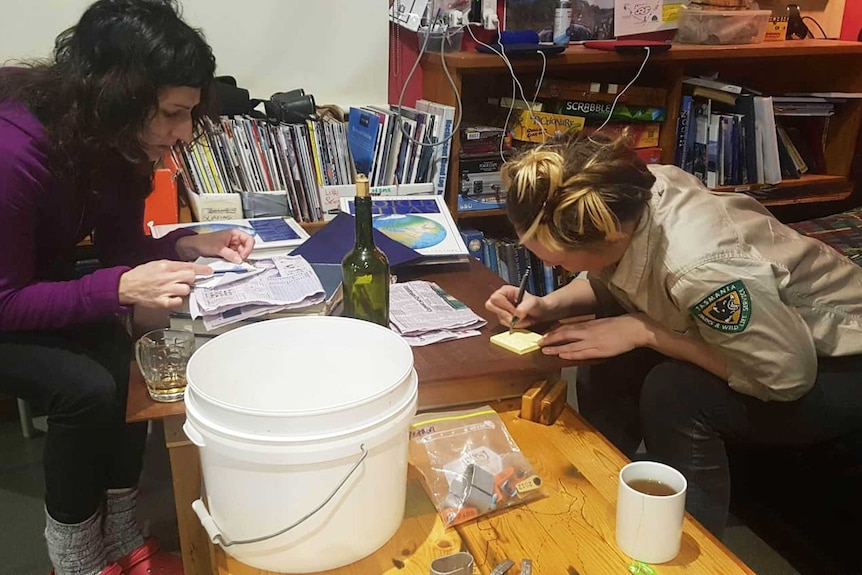 Two women at desk looking at message.