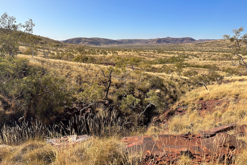 A wide shot showing the top of a rock shelter in the foreground, with bushes and shrubs stretching across a desert landscape.