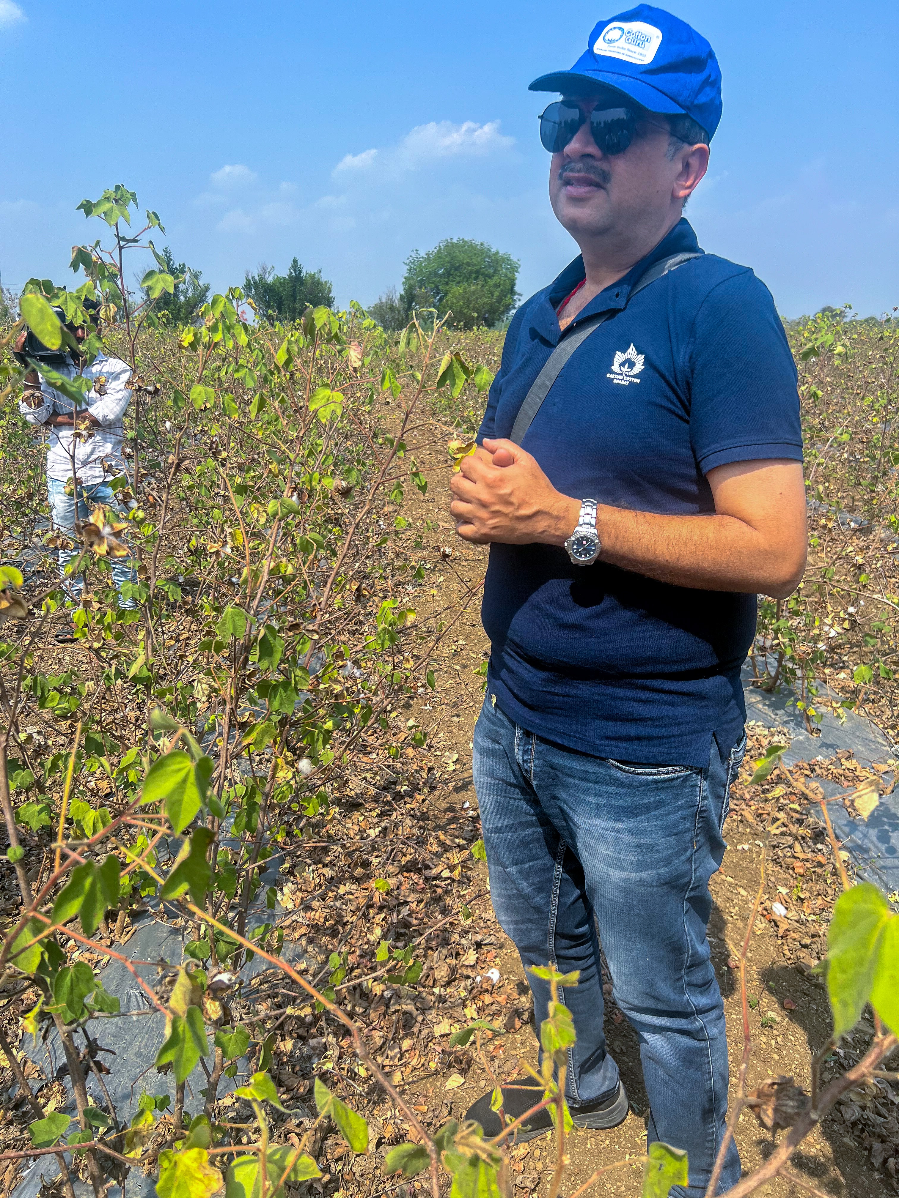 Un hombre indio en un cultivo de algodón.
