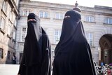 Women in niqab walk, in front of the Danish Parliament at Christiansborg Castle.