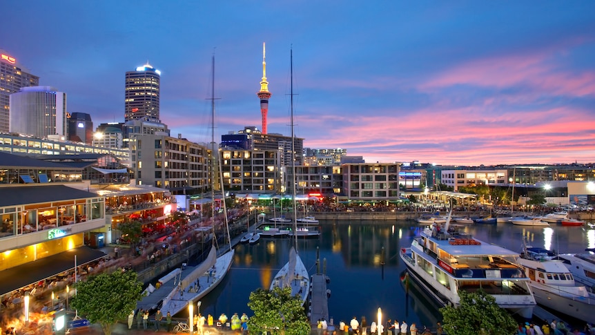 Buildings and boats on Auckland's Viaduct Harbour.