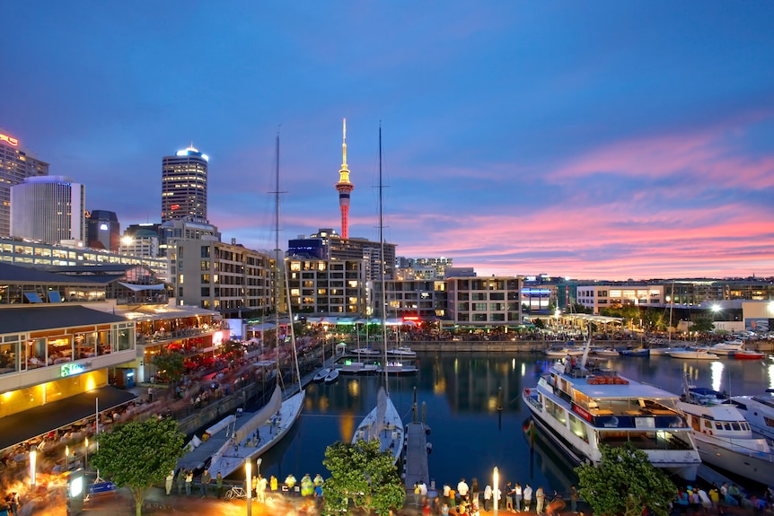 Buildings and boats on Auckland's Viaduct Harbour.