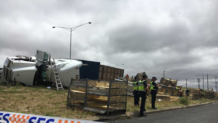 A large truck lies on its side next to the road. Police standby and crates are strewn next to the truck.