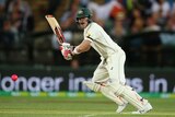 Steve Smith bats under lights on day one of the day-night Test against New Zealand