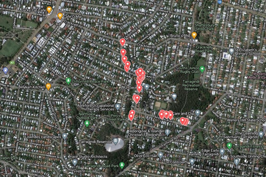 A image showing a satellite map of Tarragindi with red pins identifying the location of African tulip trees.