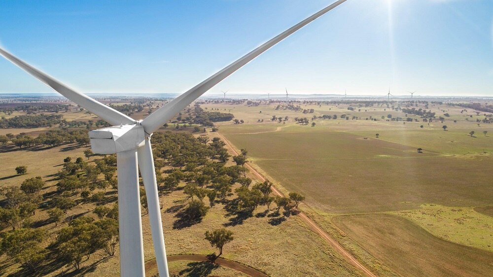 An image from the air shot from behind a wind turbine, looking over paddocks and a number of other turbines.