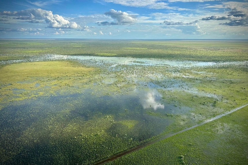 An aerial photo looking at a water covered plain. The water is reflecting the blue sky and the grass is bright green.