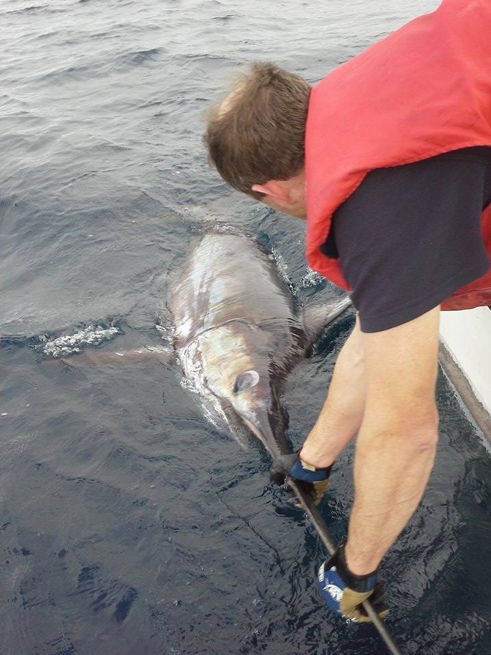 Fisherman Leo Miller holds the giant swordfish's bill prior to release