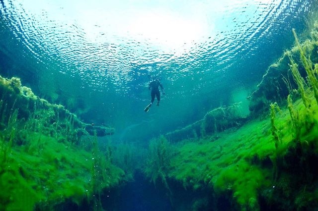 A person swimming in Piccaninnie Ponds, shot from underneath.