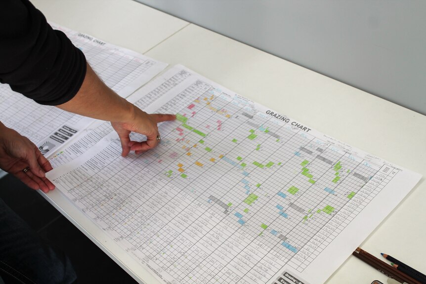 Two hands are pictured pointing at a large piece of paper with data on it. It says 'grazing chart'.