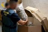 a police officer with a blurred out face picks up a bag of marijuana from a cardboard box