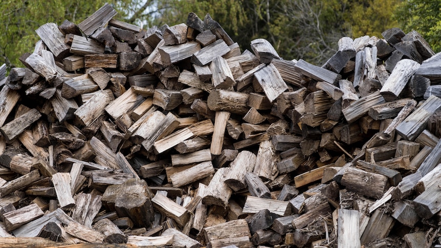 Firewood pile.