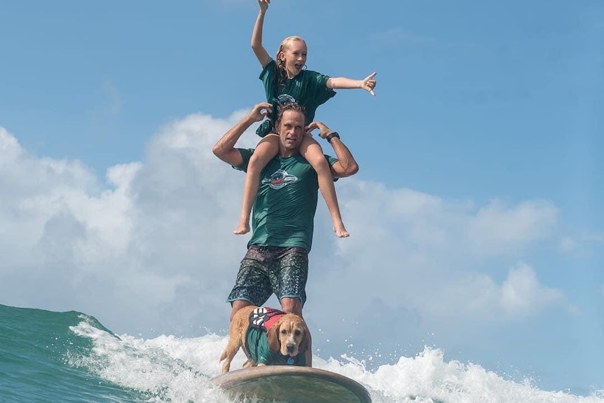 A man rides a longboard on a wave with a little girl on his shoulders and a dog standing at his feet, the wave is knee high 