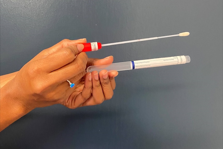Hands holding a cervical cancer self-collection tool, showing the swab and container