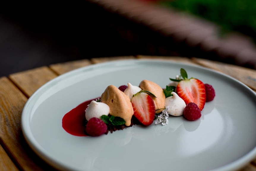 Meringue, fruit, icecream and berry sauce, sitting on a white plate, and decorated with flowers.