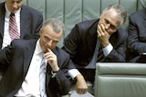 Leadership ... Brendan Nelson and Malcolm Turnbull (File photo)