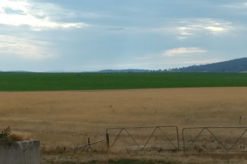 Richard Gardners property Annandale in the Tasmanian Midlands showing the impact of irrigation