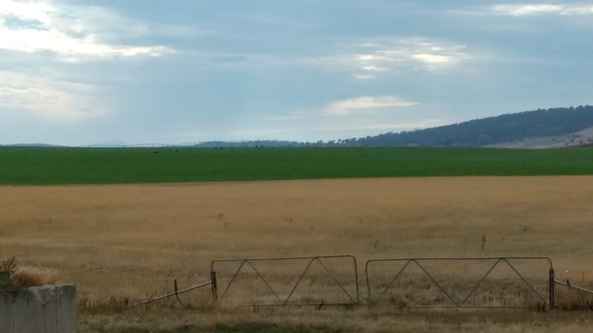 Richard Gardners property Annandale in the Tasmanian Midlands showing the impact of irrigation