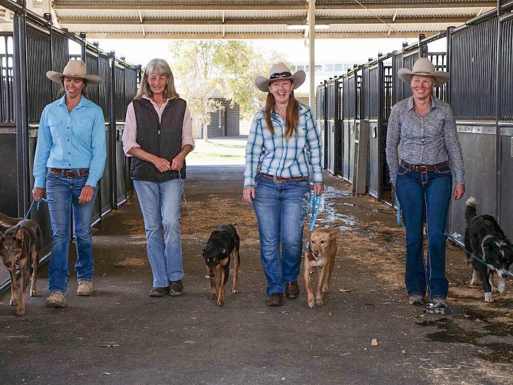 Move Over Fellas Australian Women Are Breaking Down Barriers In The Stock Dog Arena Abc News