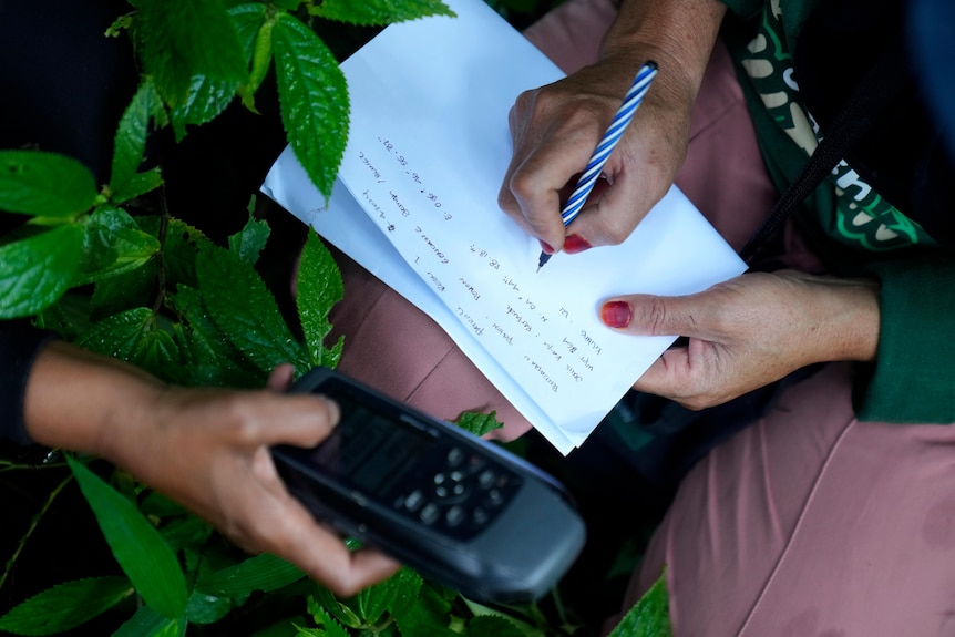 A ranger writes down a GPS-marked position during a forest patrol in Indonesia.