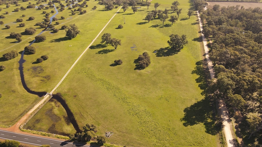 A large green paddock, an aerial view