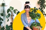 A woman holds a large Chinese money plant in a room full of plants, outlined by a bright yellow circle.