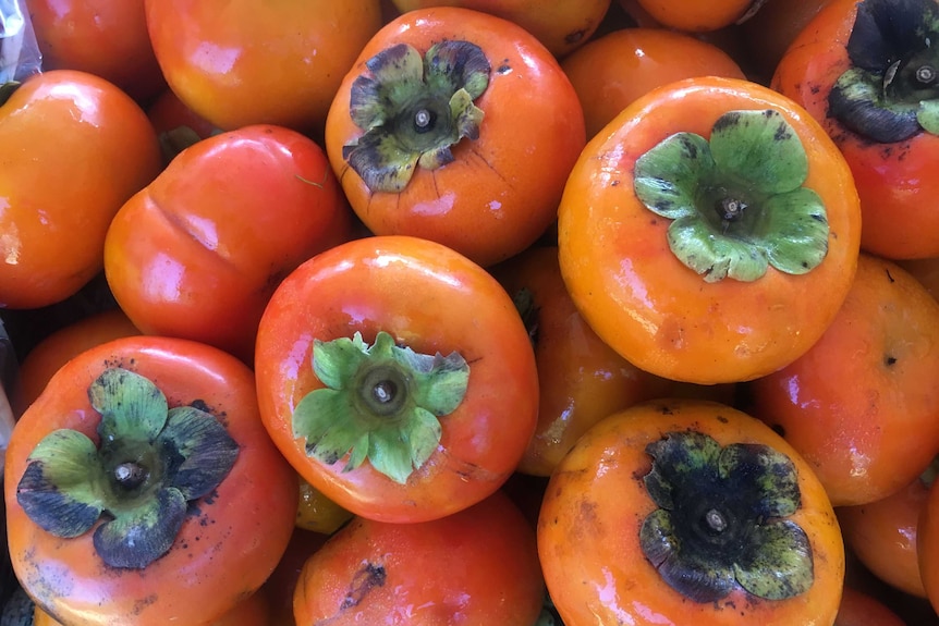 Persimmons at a farmers' market.