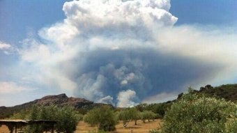 A large Pyrocumulonimbus cloud rises over bushland in the Grampians in Victoria