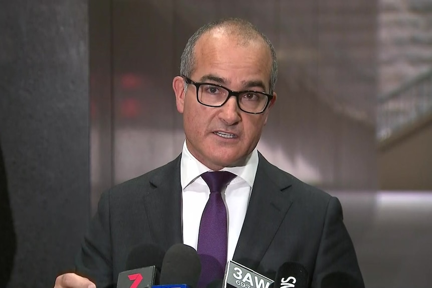 Victorian Acting Premier James Merlino speaks on May 26 2021