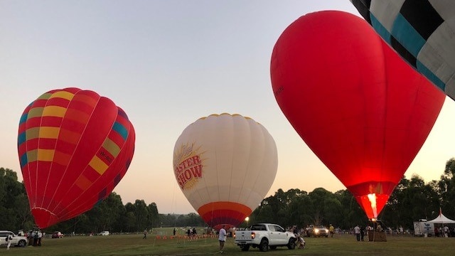 Four large hot air balloons being inflated in the early morning at an open park.