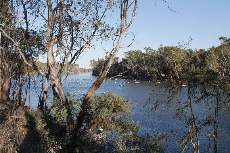 Aerial view through the trees of paddlers on the Murray River in Victoria