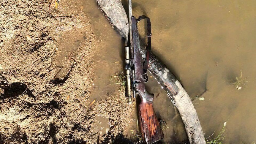 A rifle sitting in the water of Point Hut Pond, in Canberra's south.