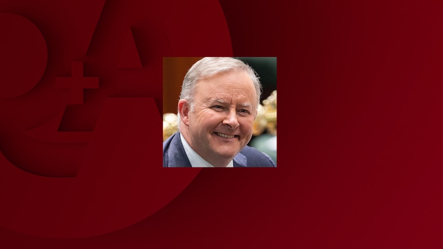 Q+A Panel for October 12, 2020: Anthony Albanese