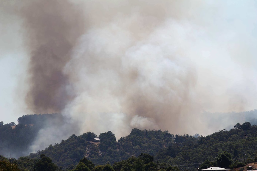 Homes under 'imminent threat' from bushfire in WA's South West