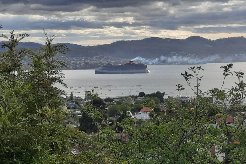 A cruise ship on a river seen in the distance with trees in the foreground and hills behind. 