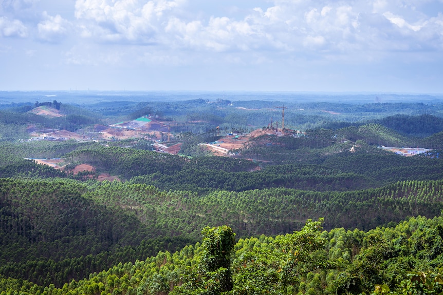 A building site in the forest.