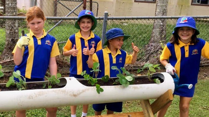 A group of five primary school children in uniform stand behind an elevated garden giving thumbs up to the camera