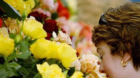 Woman smells flowers