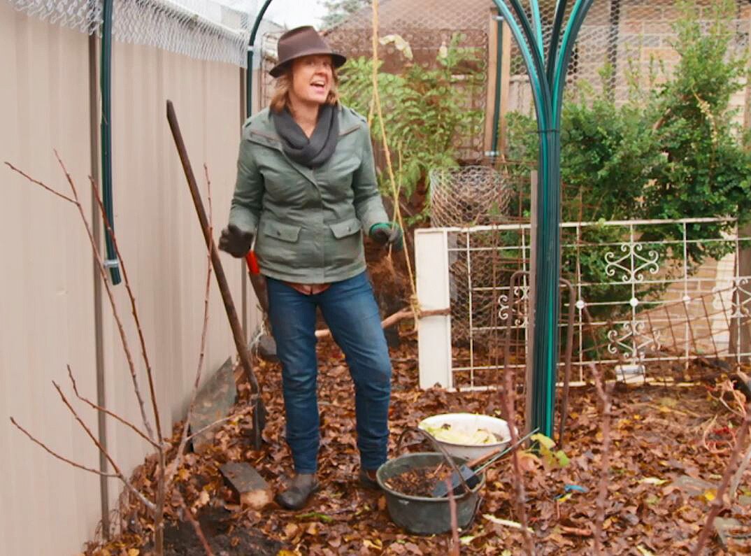 Gardening Australia recap: A helpful duck and Costa channels Chance the Rapper - ABC Everyday