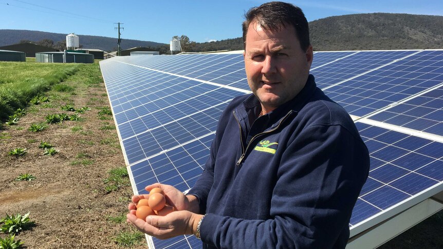 A man holding eggs standing in front of solar panels.