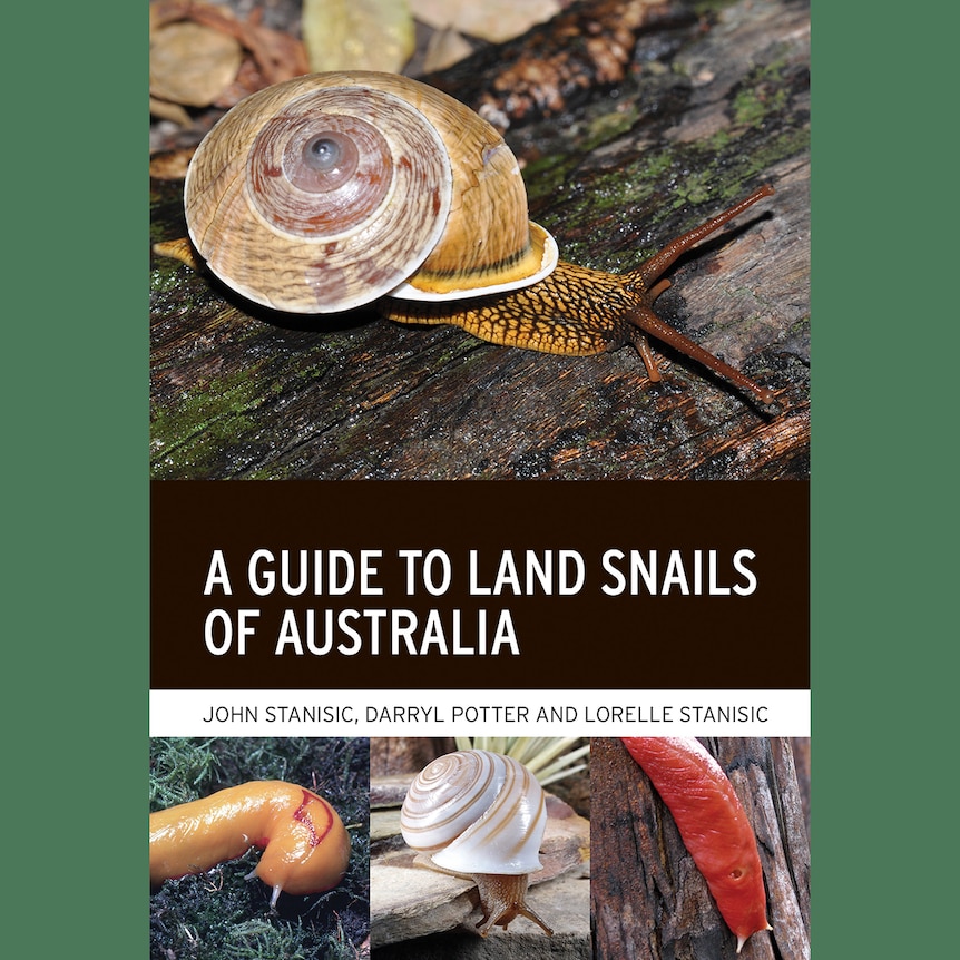 Book cover - A Guide to Land Snails of Australia